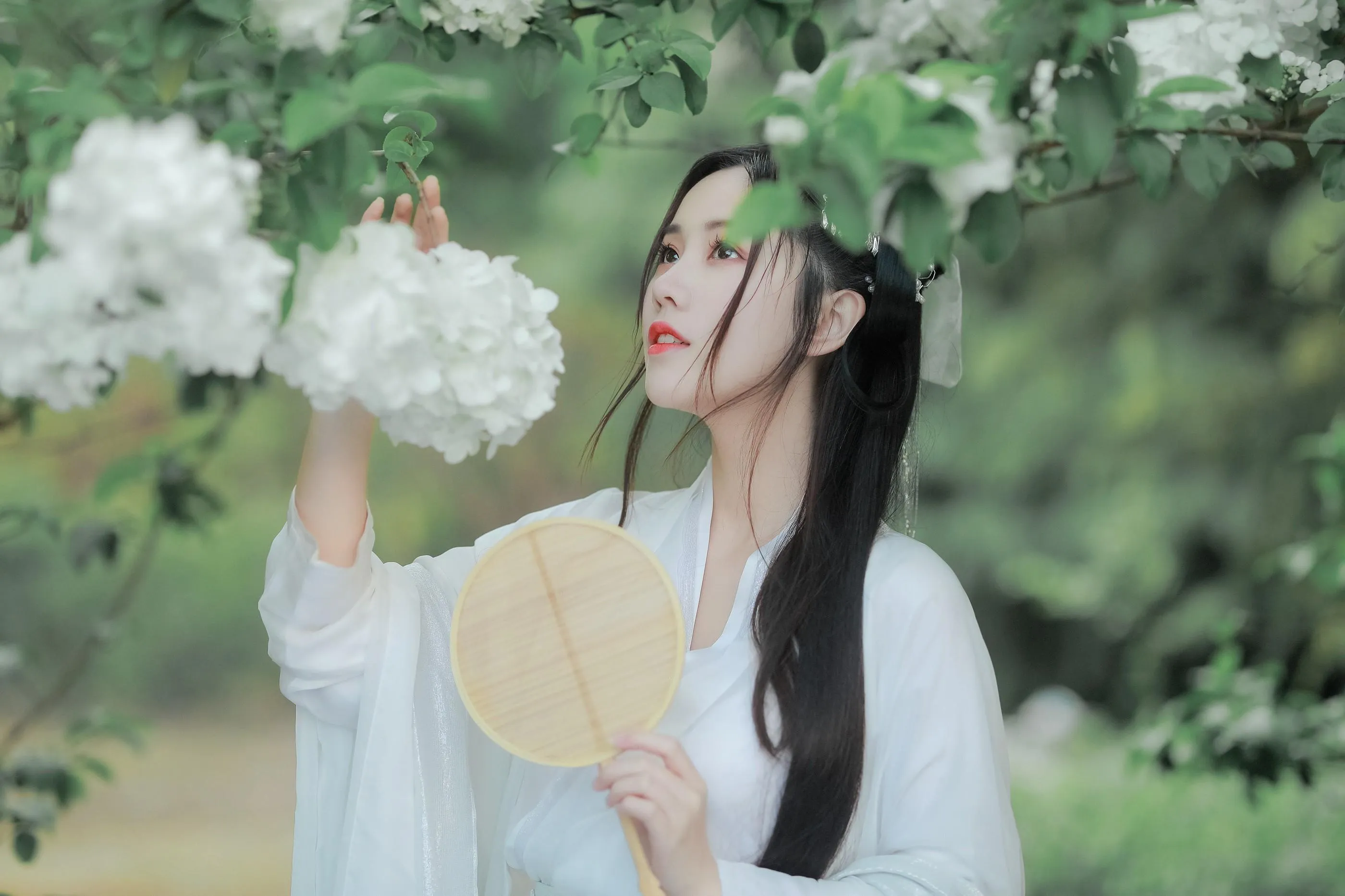 [艺图语] 2022.05.20 紫荆花开 若希icy [23P]插图